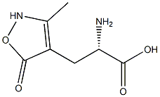 (S)-3-[(3-Methyl-2,5-dihydro-5-oxoisoxazol)-4-yl]-2-aminopropanoic acid Struktur