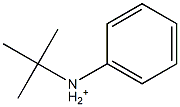 N-(tert-Butyl)anilinium Struktur