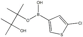 5-Chlorothiophene-3-boronic acid pinacol ester Struktur