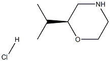 (S)-2-isopropylmorpholine hydrochloride Struktur