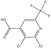 2,3-dichloro-6-(trifluoroMethyl)pyridine-4-carboxylic acid Struktur