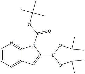 tert-butyl 2-(tetramethyl-1,3,2-dioxaborolan-2-yl)-1H-pyrrolo[2,3-b]pyridine-1-carboxylate Struktur