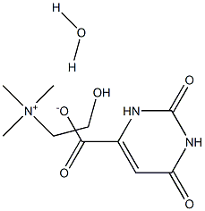 CHOLINE OROTATE MONOHYDRATE Struktur