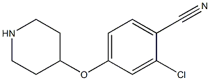 2-CHLORO-4-(4-PIPERIDINYLOXY)BENZONITRILE Struktur