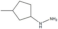 1-(3-methylcyclopentyl)hydrazine Struktur