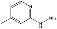 1-(4-methylpyridin-2-yl)hydrazine Struktur