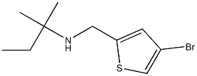 [(4-bromothiophen-2-yl)methyl](2-methylbutan-2-yl)amine Struktur