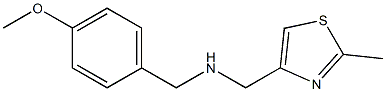 [(4-methoxyphenyl)methyl][(2-methyl-1,3-thiazol-4-yl)methyl]amine Struktur