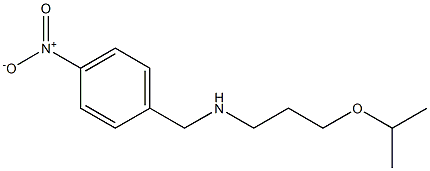 [(4-nitrophenyl)methyl][3-(propan-2-yloxy)propyl]amine Struktur