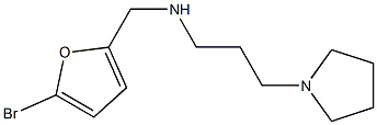 [(5-bromofuran-2-yl)methyl][3-(pyrrolidin-1-yl)propyl]amine Struktur