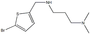 [(5-bromothiophen-2-yl)methyl][3-(dimethylamino)propyl]amine Struktur