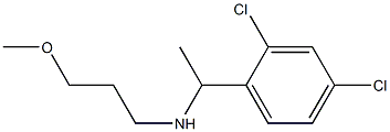 [1-(2,4-dichlorophenyl)ethyl](3-methoxypropyl)amine Struktur