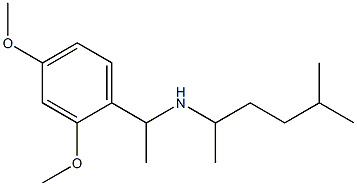 [1-(2,4-dimethoxyphenyl)ethyl](5-methylhexan-2-yl)amine Struktur