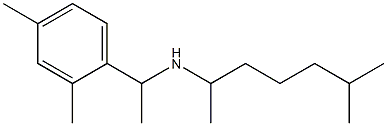 [1-(2,4-dimethylphenyl)ethyl](6-methylheptan-2-yl)amine Struktur