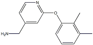 [2-(2,3-dimethylphenoxy)pyridin-4-yl]methylamine Struktur