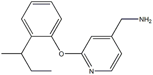 [2-(2-sec-butylphenoxy)pyridin-4-yl]methylamine Struktur