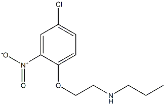 [2-(4-chloro-2-nitrophenoxy)ethyl](propyl)amine Struktur