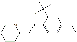 2-(2-tert-butyl-4-ethylphenoxymethyl)piperidine Struktur