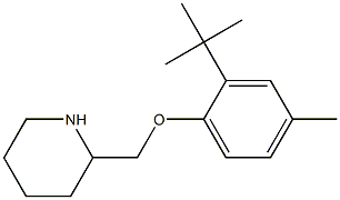 2-(2-tert-butyl-4-methylphenoxymethyl)piperidine Struktur