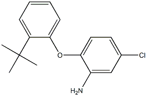 2-(2-tert-butylphenoxy)-5-chloroaniline Struktur