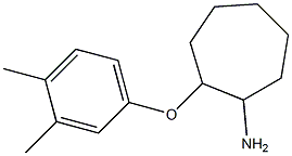 2-(3,4-dimethylphenoxy)cycloheptan-1-amine Struktur