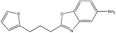 2-(3-thien-2-ylpropyl)-1,3-benzoxazol-5-amine Struktur