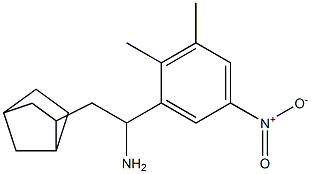 2-{bicyclo[2.2.1]heptan-2-yl}-1-(2,3-dimethyl-5-nitrophenyl)ethan-1-amine Struktur