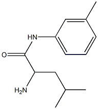 2-amino-4-methyl-N-(3-methylphenyl)pentanamide Struktur