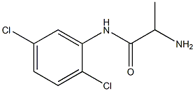 2-amino-N-(2,5-dichlorophenyl)propanamide Struktur