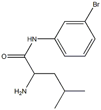 2-amino-N-(3-bromophenyl)-4-methylpentanamide Struktur