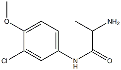 2-amino-N-(3-chloro-4-methoxyphenyl)propanamide Struktur