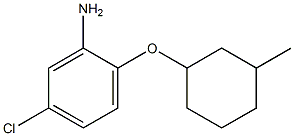 5-chloro-2-[(3-methylcyclohexyl)oxy]aniline Struktur