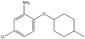 5-chloro-2-[(4-methylcyclohexyl)oxy]aniline Struktur