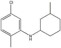 5-chloro-2-methyl-N-(3-methylcyclohexyl)aniline Struktur