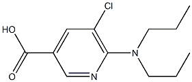 5-chloro-6-(dipropylamino)pyridine-3-carboxylic acid Struktur