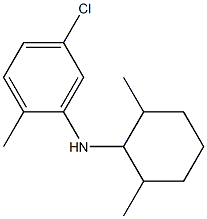 5-chloro-N-(2,6-dimethylcyclohexyl)-2-methylaniline Struktur