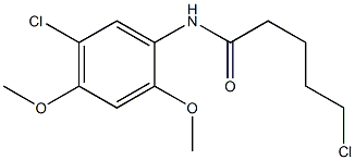 5-chloro-N-(5-chloro-2,4-dimethoxyphenyl)pentanamide Struktur