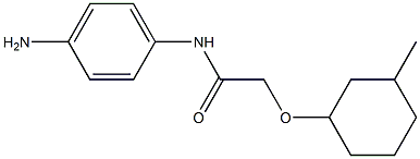 N-(4-aminophenyl)-2-[(3-methylcyclohexyl)oxy]acetamide Struktur