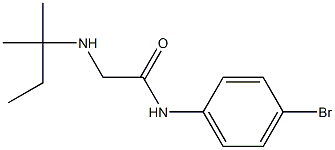 N-(4-bromophenyl)-2-[(2-methylbutan-2-yl)amino]acetamide Struktur