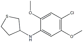 N-(4-chloro-2,5-dimethoxyphenyl)thiolan-3-amine Struktur