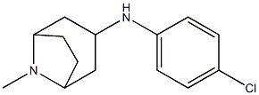 N-(4-chlorophenyl)-8-methyl-8-azabicyclo[3.2.1]octan-3-amine Struktur