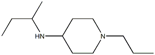 N-(butan-2-yl)-1-propylpiperidin-4-amine Struktur