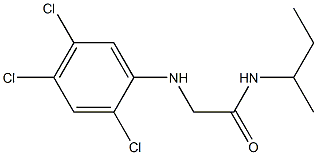 N-(butan-2-yl)-2-[(2,4,5-trichlorophenyl)amino]acetamide Struktur