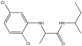 N-(butan-2-yl)-2-[(2,5-dichlorophenyl)amino]propanamide Struktur