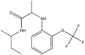 N-(butan-2-yl)-2-{[2-(trifluoromethoxy)phenyl]amino}propanamide Struktur