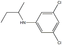 N-(butan-2-yl)-3,5-dichloroaniline Struktur