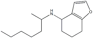 N-(heptan-2-yl)-4,5,6,7-tetrahydro-1-benzofuran-4-amine Struktur