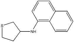 N-(naphthalen-1-yl)thiolan-3-amine Struktur