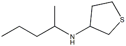 N-(pentan-2-yl)thiolan-3-amine Struktur