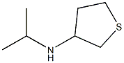 N-(propan-2-yl)thiolan-3-amine Struktur